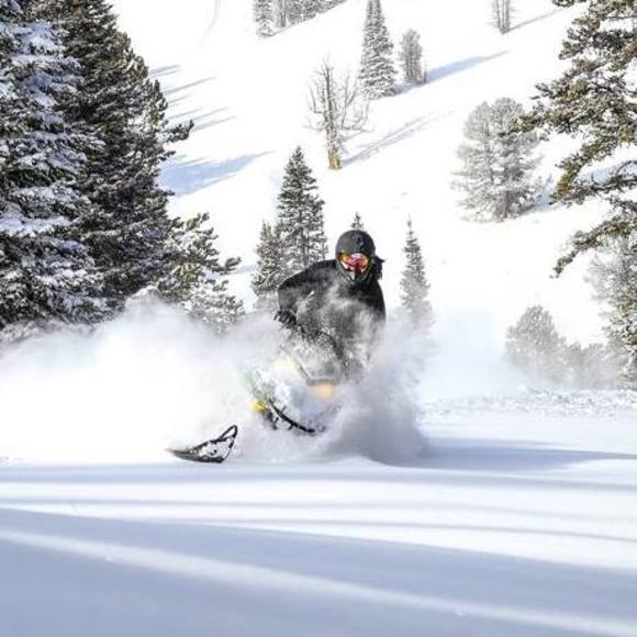 Meet your Posher, Michael - Picture 1 of 1